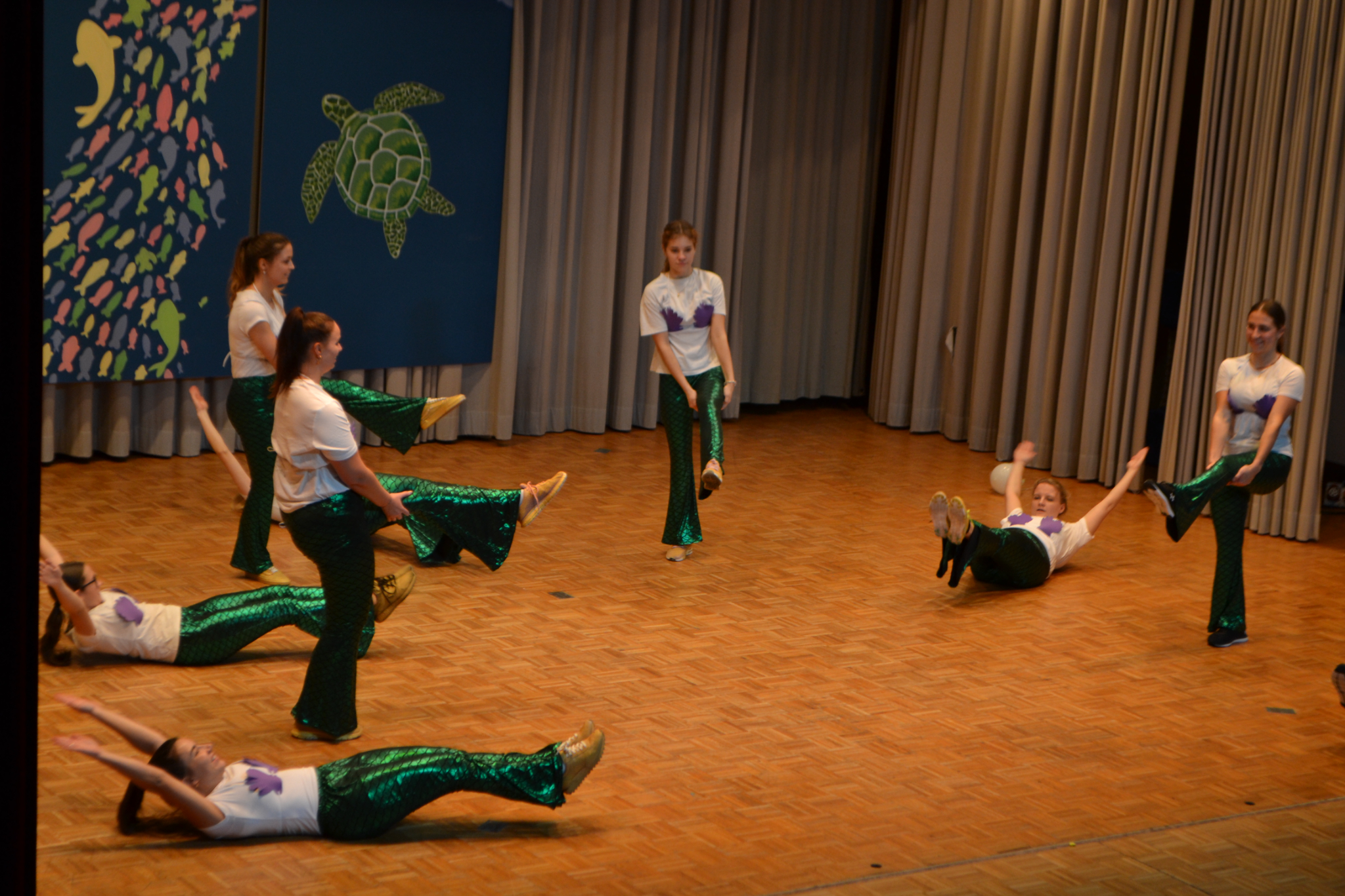 Bild2 (144)